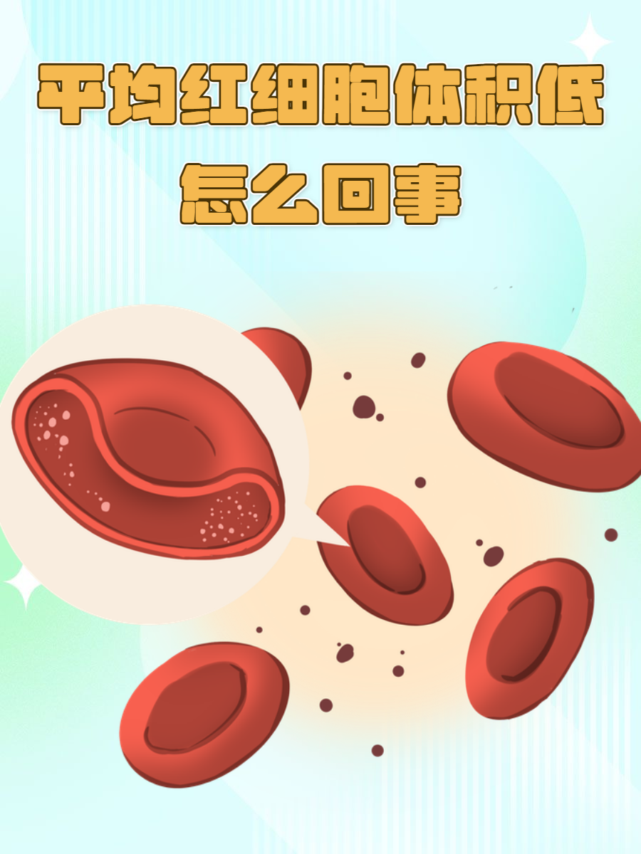 特别是看到"平均红细胞体积低"这几个字,心里更是不禁嘀咕:这到底是