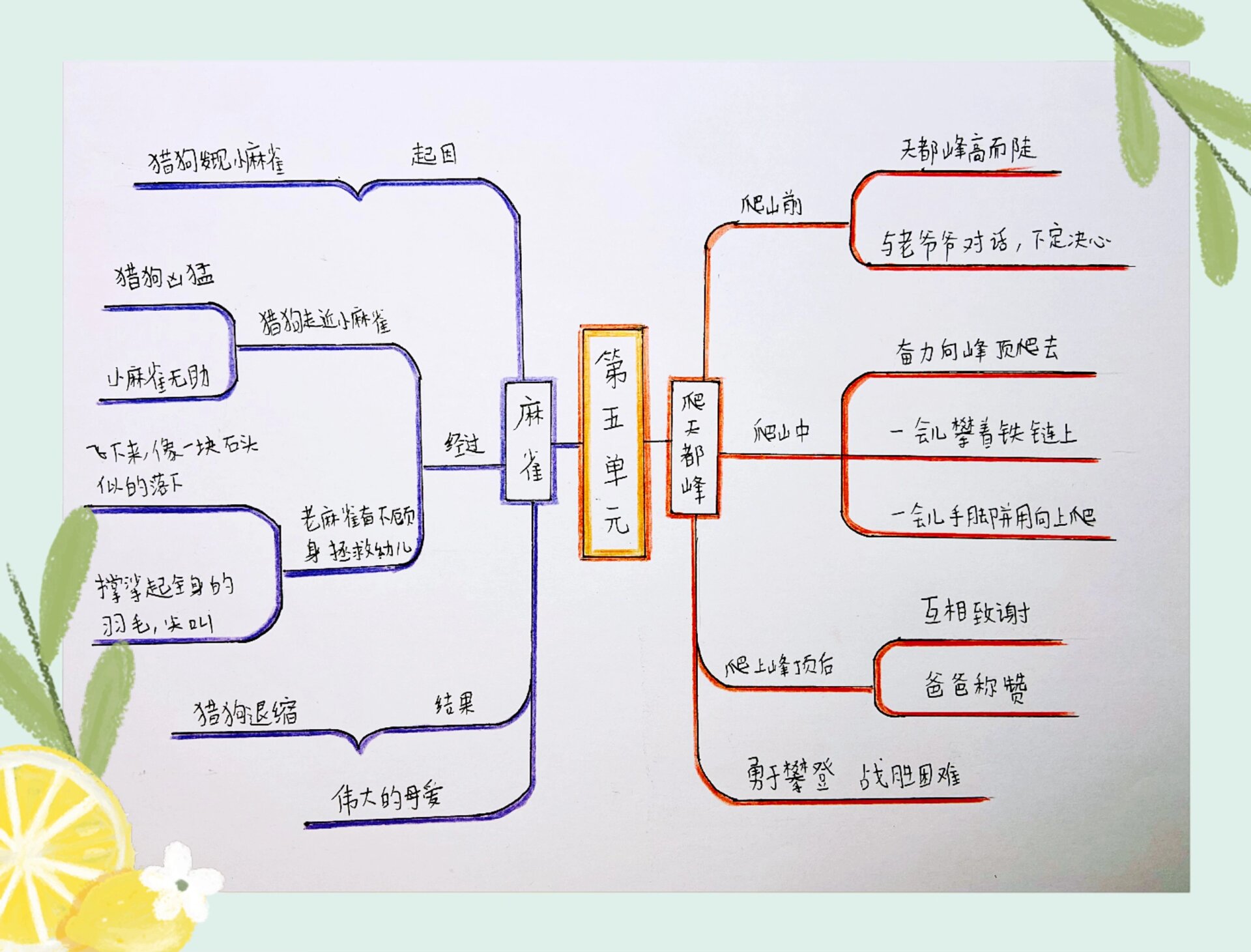 免费思维导图人教版图片