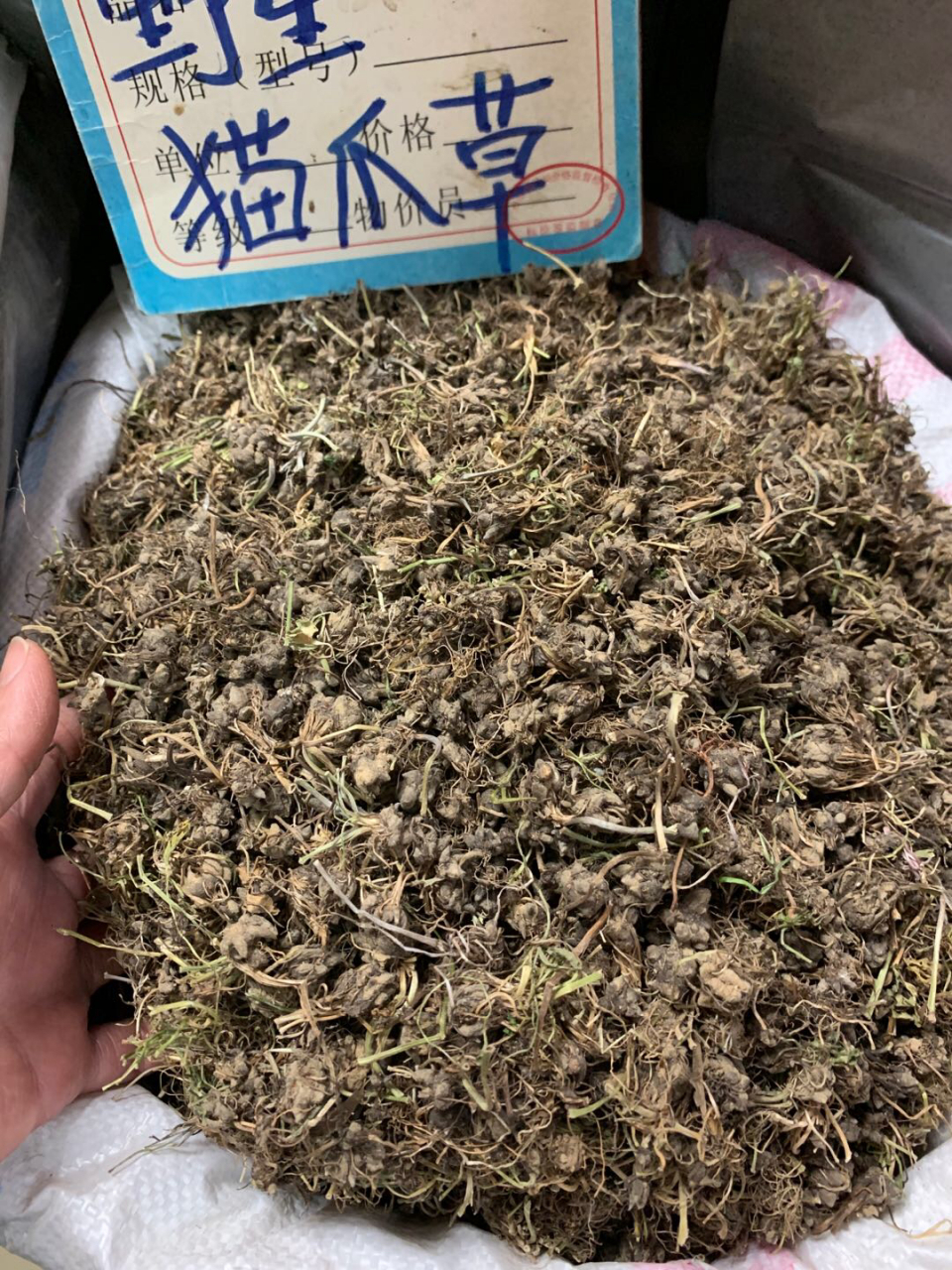 1,抗菌 猫爪草最主要的功效就是抗菌,它含有多种天然的抗菌成分,能