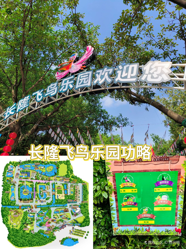 长隆飞鸟乐园攻略!