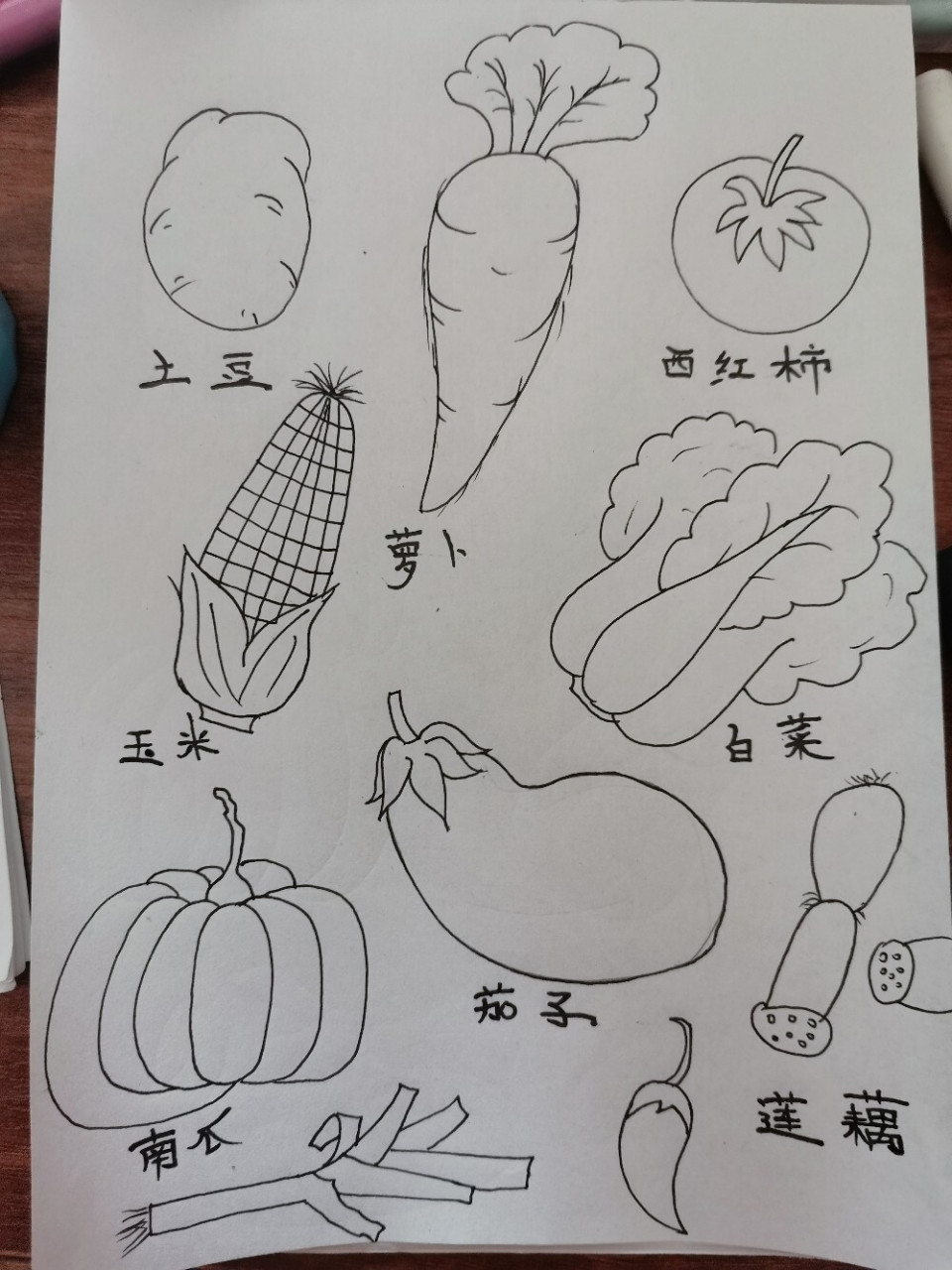 水彩手绘,蔬菜简笔画 萝卜青菜,各有所爱(73°з°)