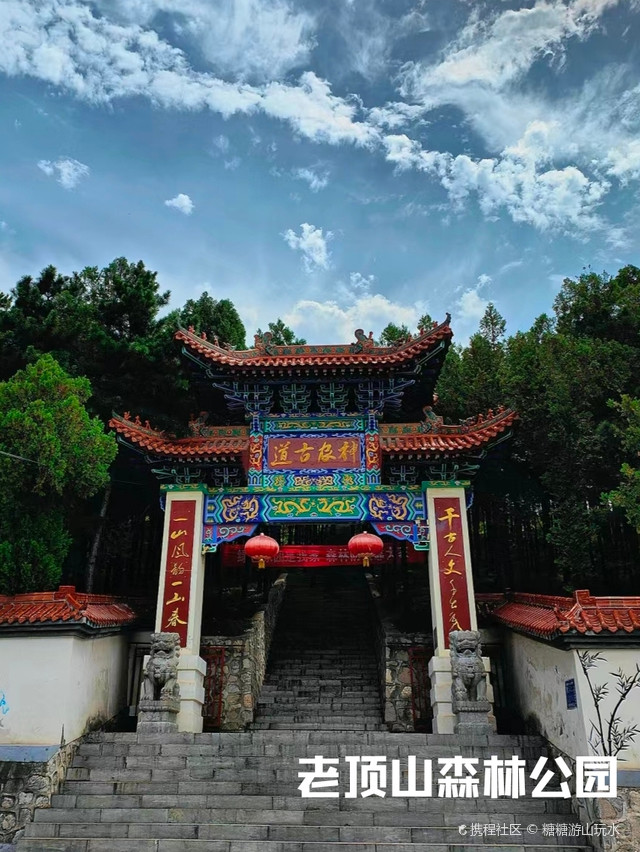 老顶山森林公园|打卡长治老顶山国家森林公园