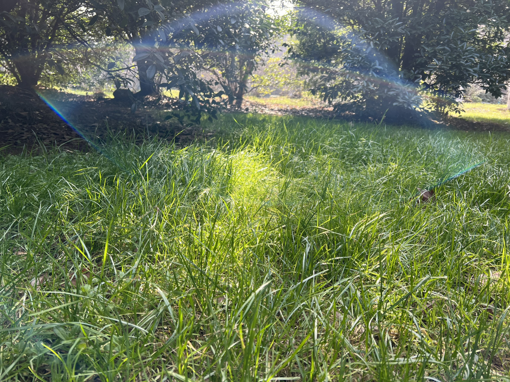 《正见》无常,在30岁的节点突然就看懂了 "万物无常"是可以被解释的.