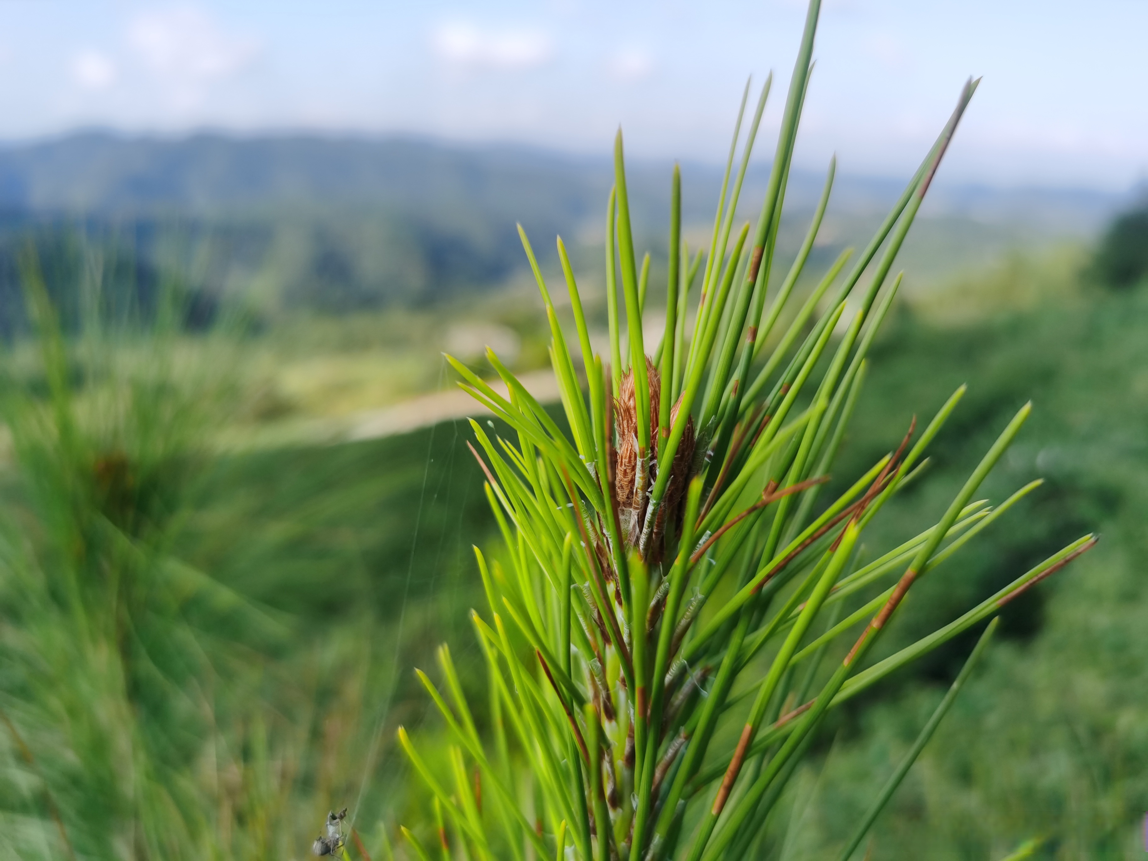 人生就是一段旅程,没有起点,不知终点