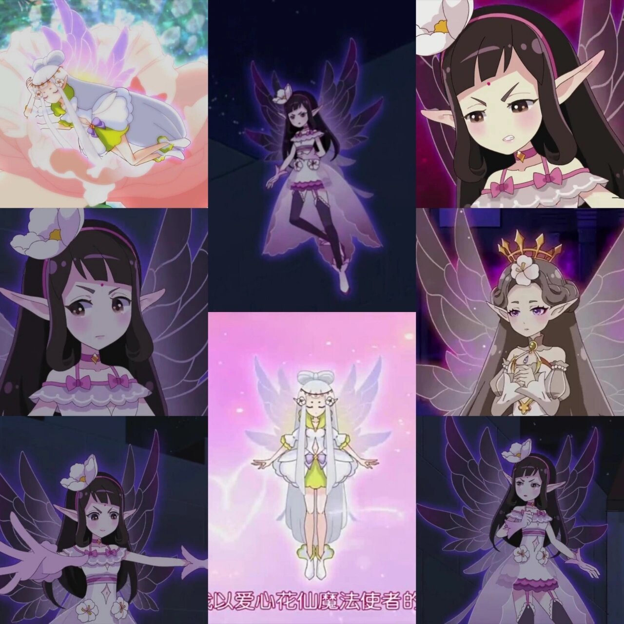 芙蓉花精灵王.拒霜