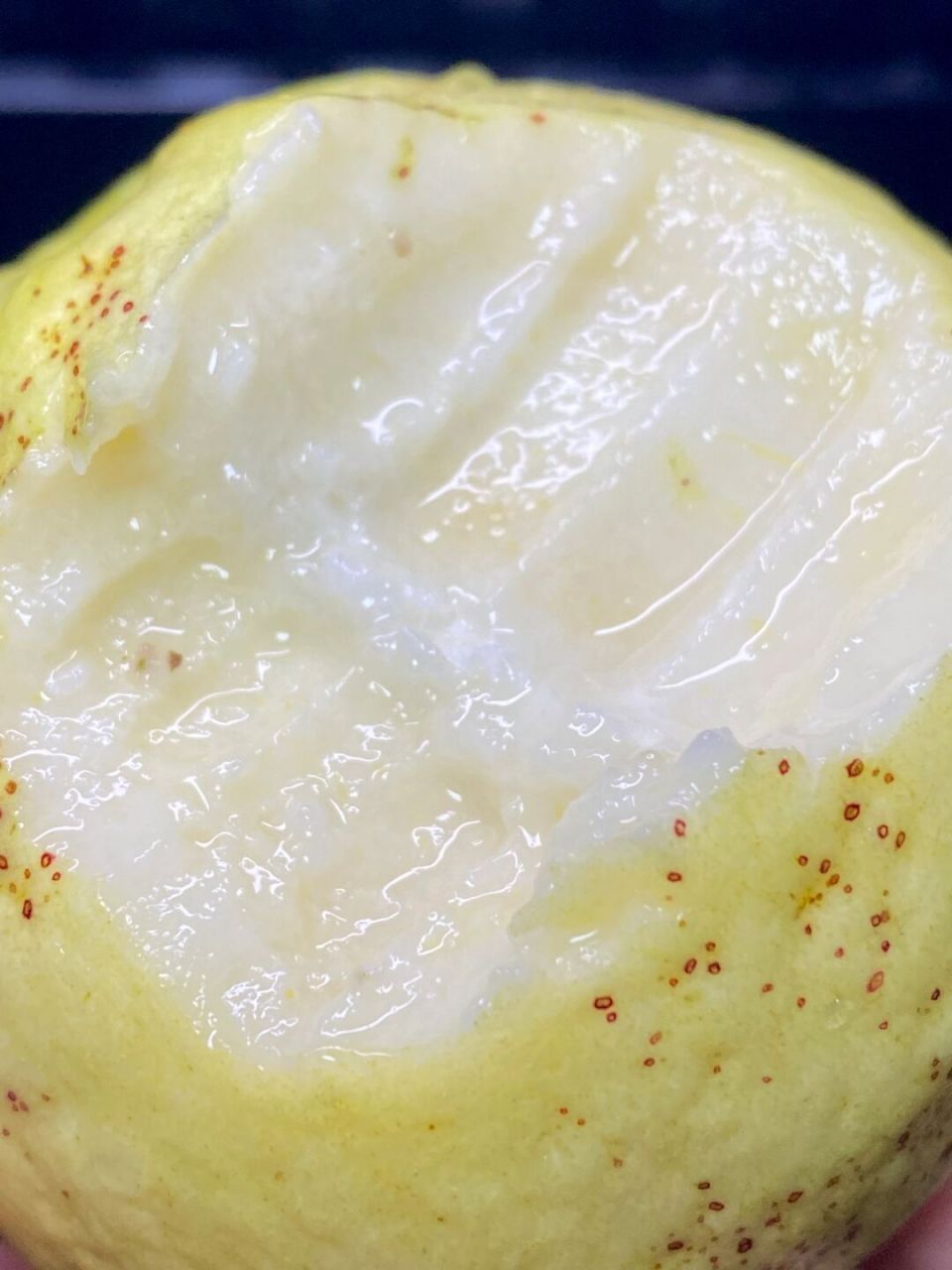 好吃到怀疑人生的黄金奶油芭乐!