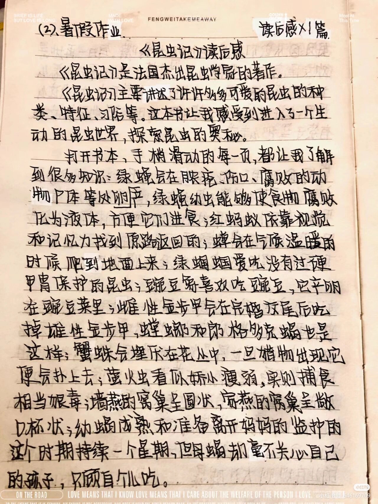 暑假作文读后感《昆虫记》