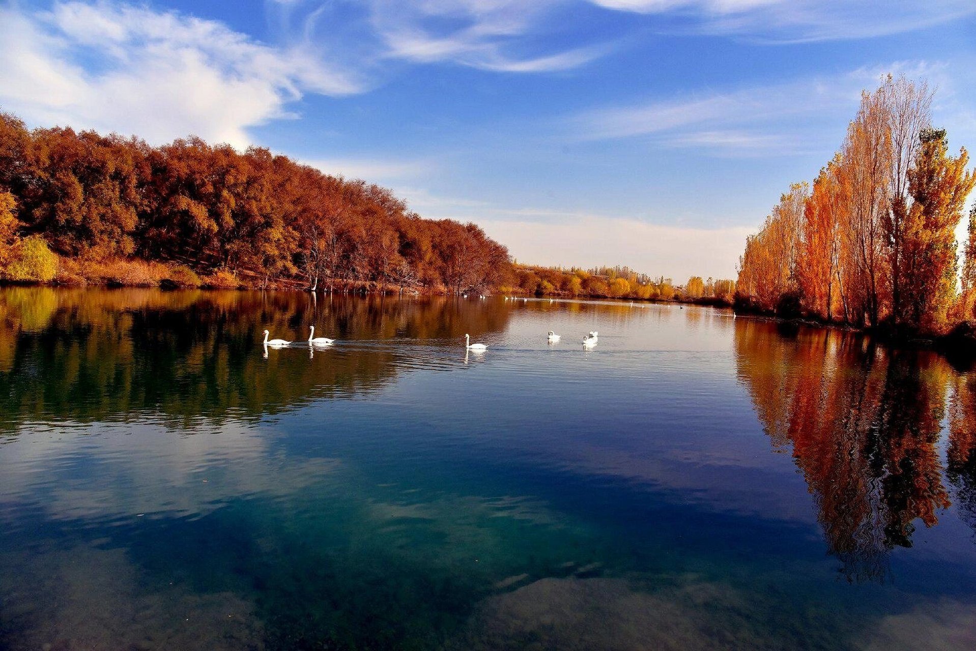 伊宁县天鹅湖湿地公园一日游 出发地伊宁市上林广场,目的地天鹅湖湿地