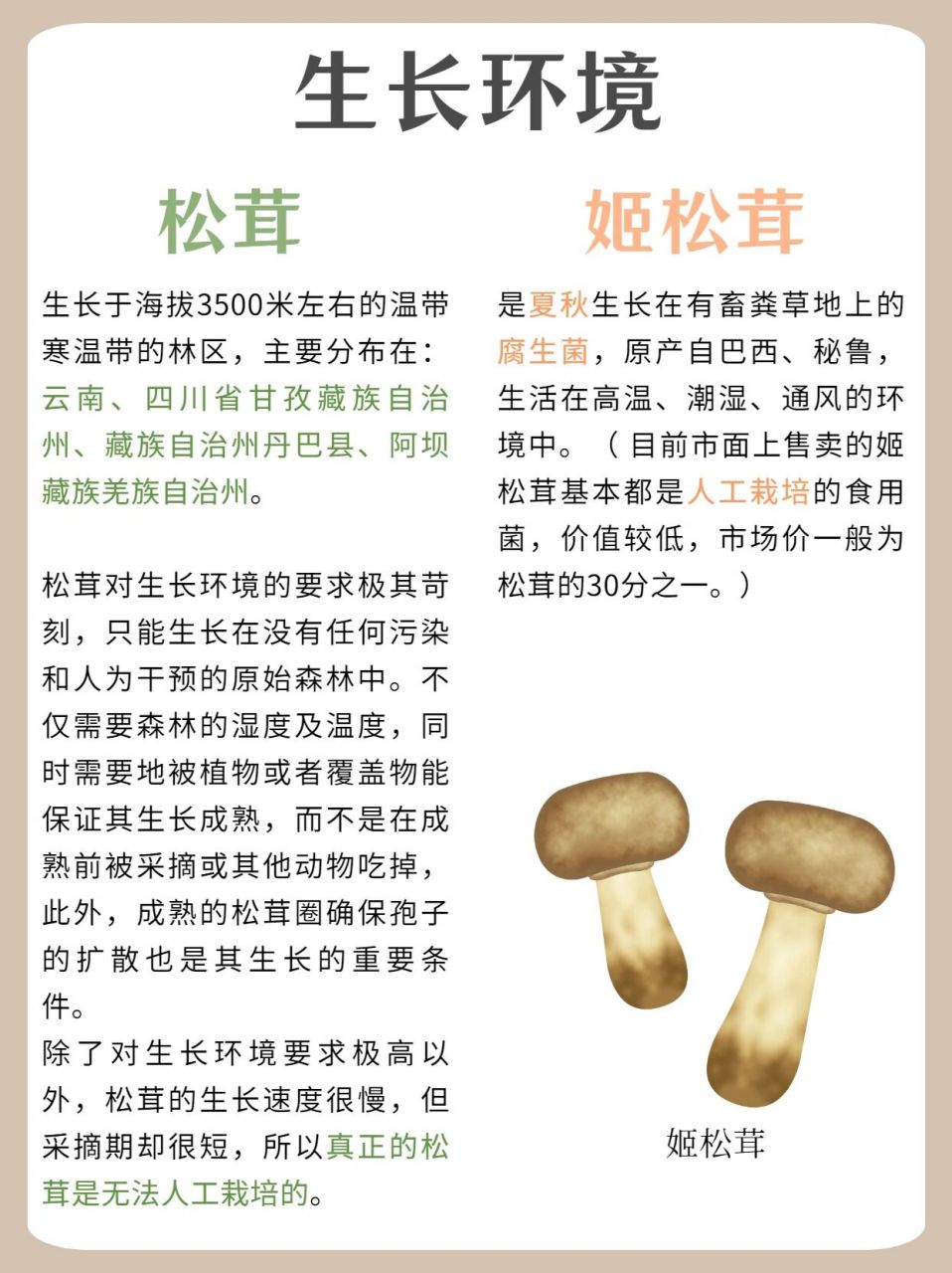 松茸和姬松茸傻傻分不清71三分钟看懂区别75 姬松茸姓姬,松茸姓松
