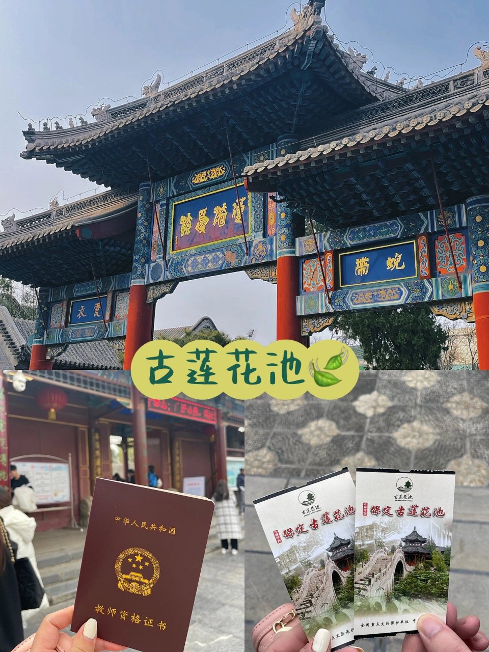 保定附近游(一)|古莲花池 78关于门票99: 30r 大学生半价(硕士