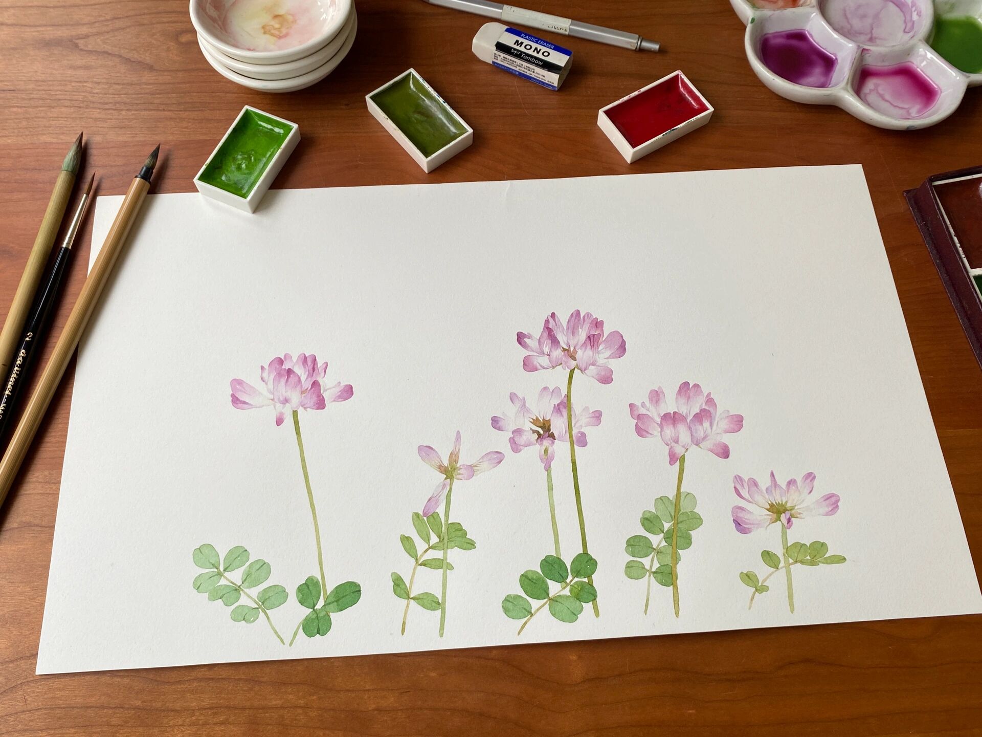 水彩手绘|野花集 紫云英