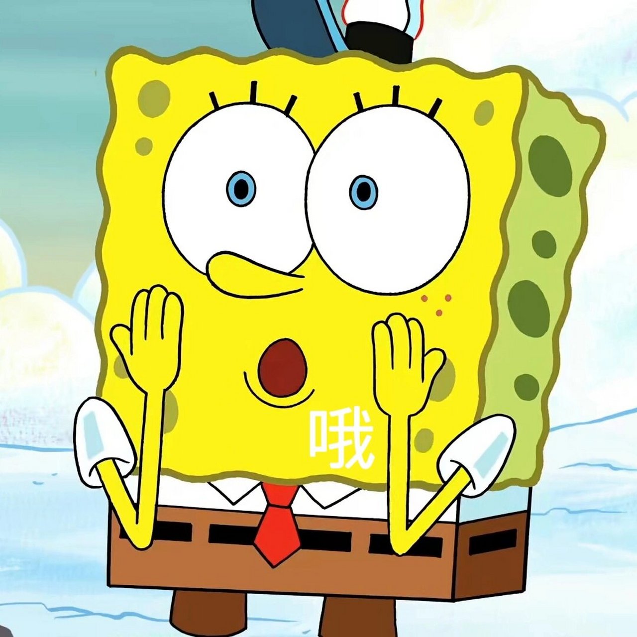 海绵宝宝的大头照|表情包合集1️⃣2️⃣ 一字表情包