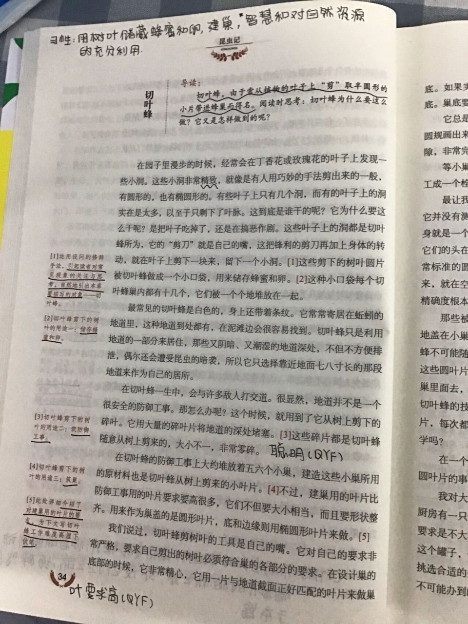 昆虫记批注56615切叶蜂和圣甲虫(上) 更新