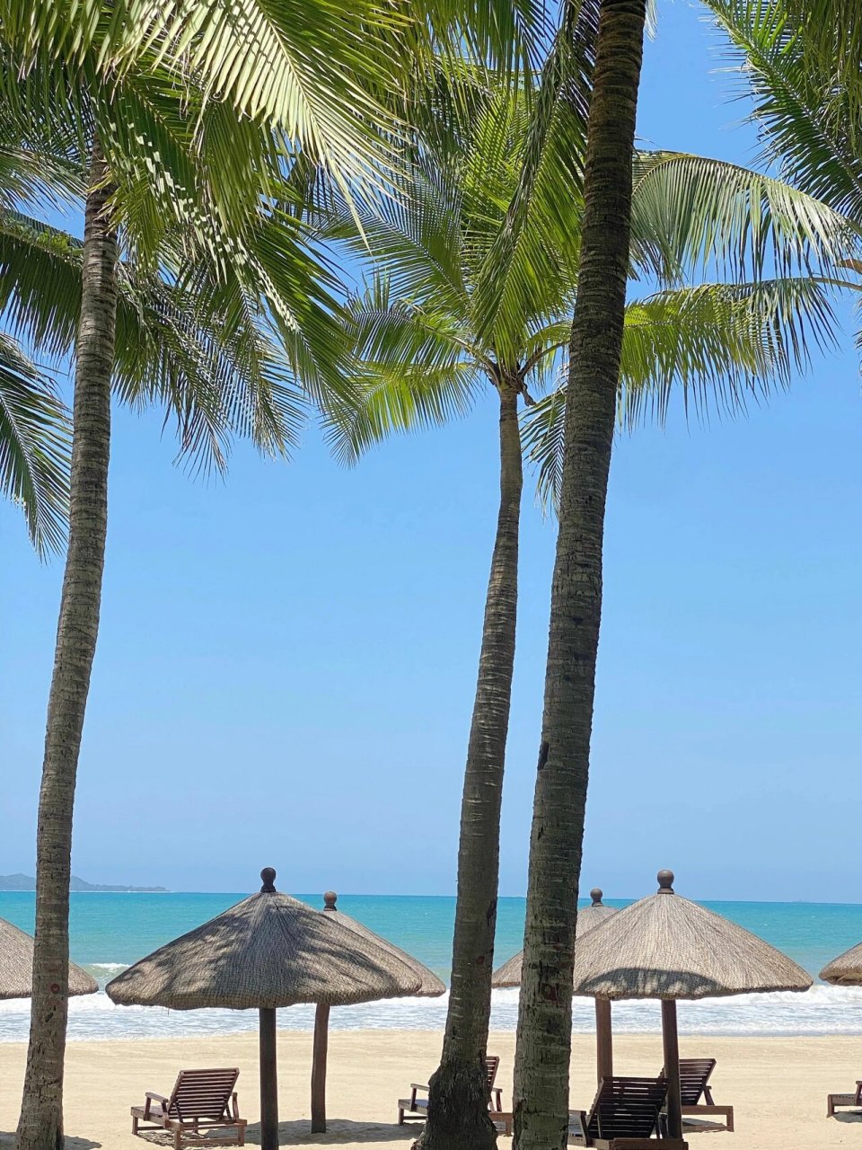 来到三亚当然是要走走椰梦长廊,不用门票,很多拍照的点,找个空旷的