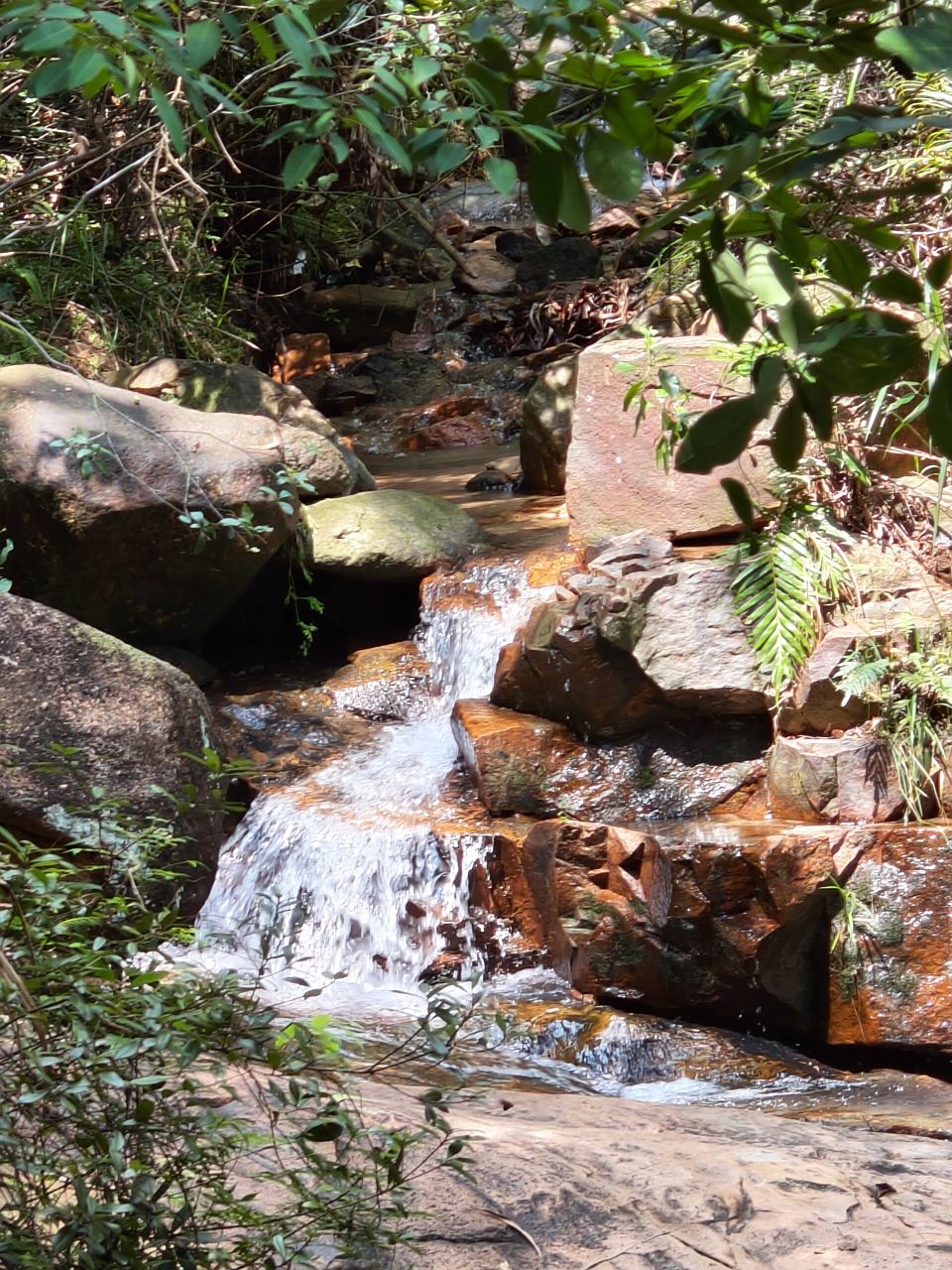 徒步游览大尖山公园~属于中山的天然氧吧   时隔多年,重游中山市大