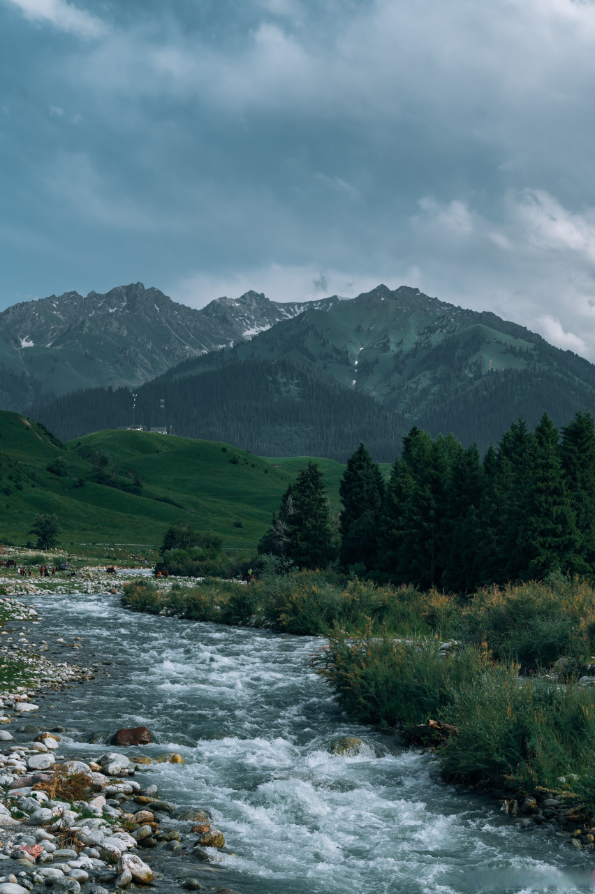 雪山,林海,草原,溪流,帅哥……集合了所有美好,不枉我独库公路下来