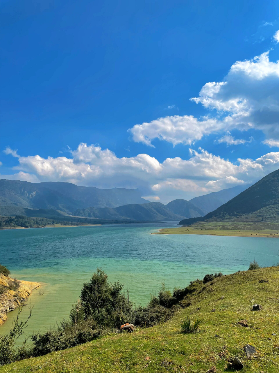 冶勒湖|终于又开放了99带上狗子去露营72 一个没有开发的原生态