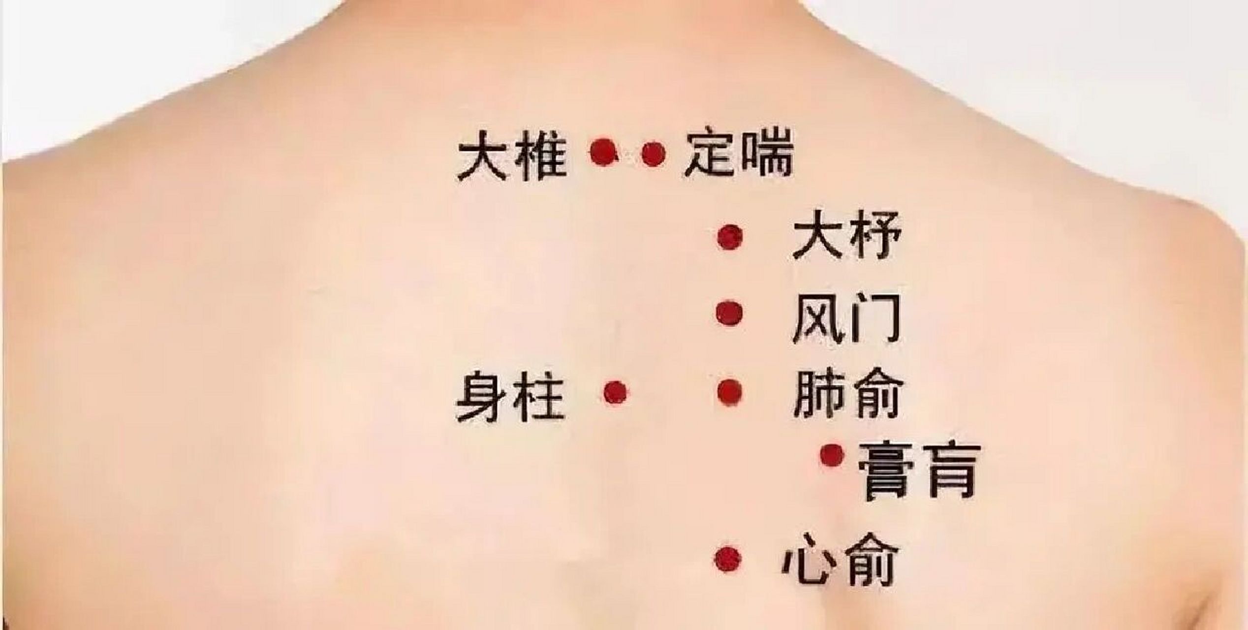 身柱——长高必灸穴 身柱——小儿百病之灸点 身柱穴是督脉的俞穴,有