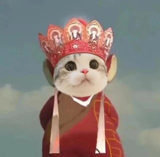 猫咪版孙悟空唐僧可爱情头