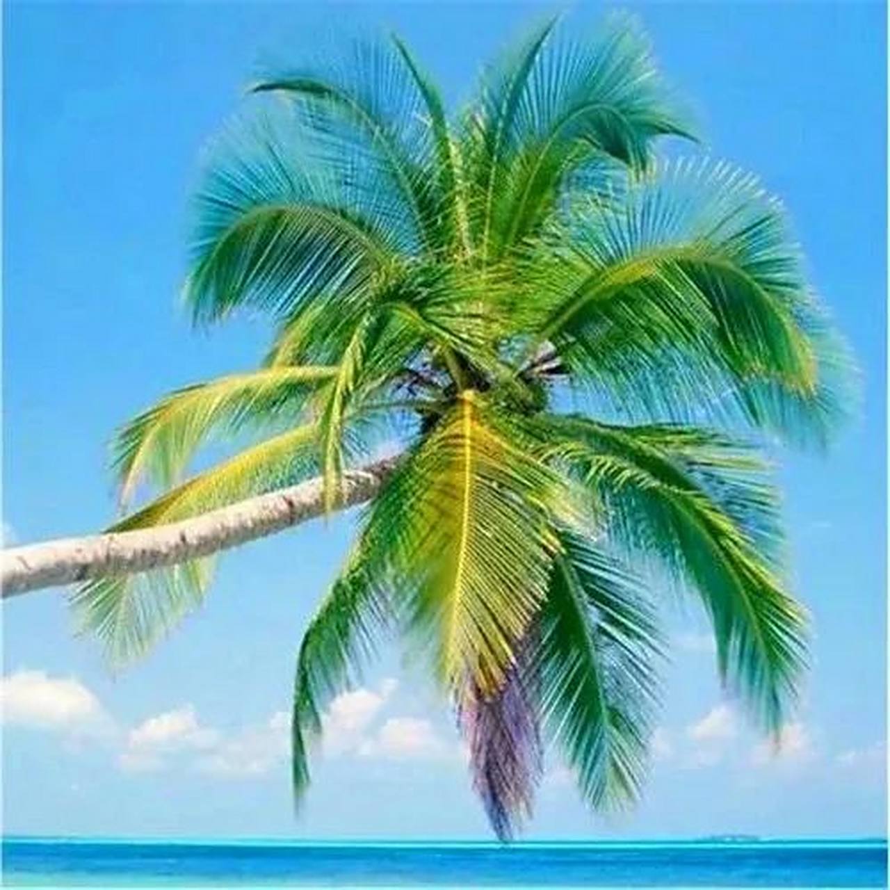 适合年龄大的头像 中老年人专属微信头像,快来看看吧 羡慕从不盲目