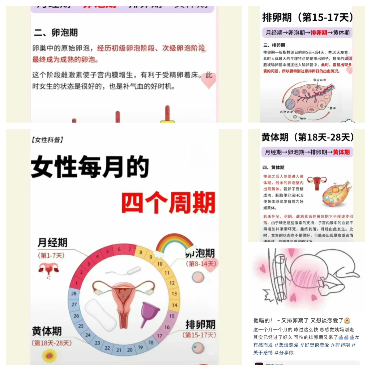 女孩月经图片欣赏图片