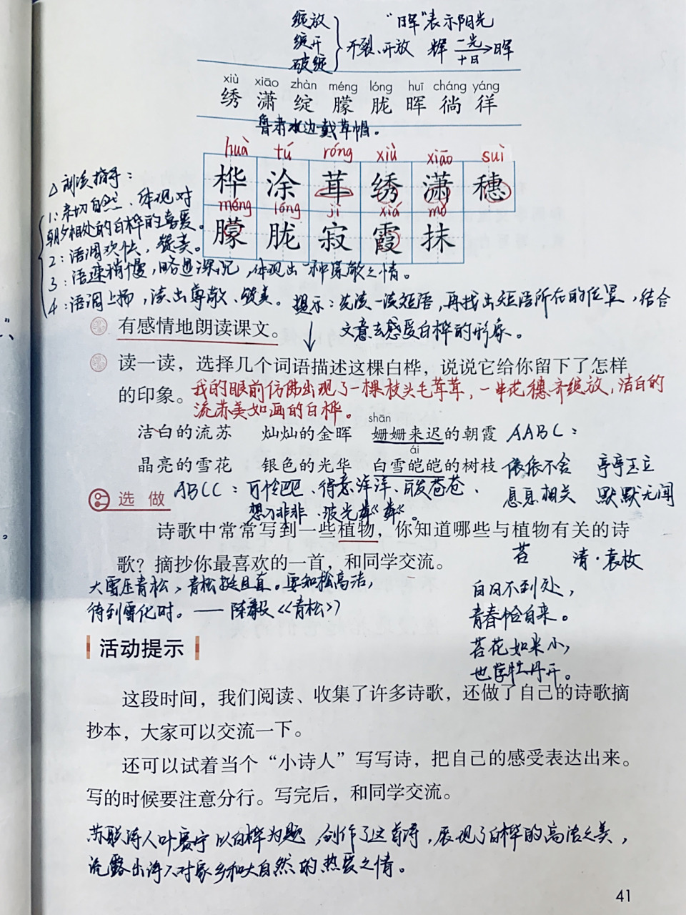 部编版四年级下册语文 第十一课 白桦 笔记 四年级下册语文 第三单元