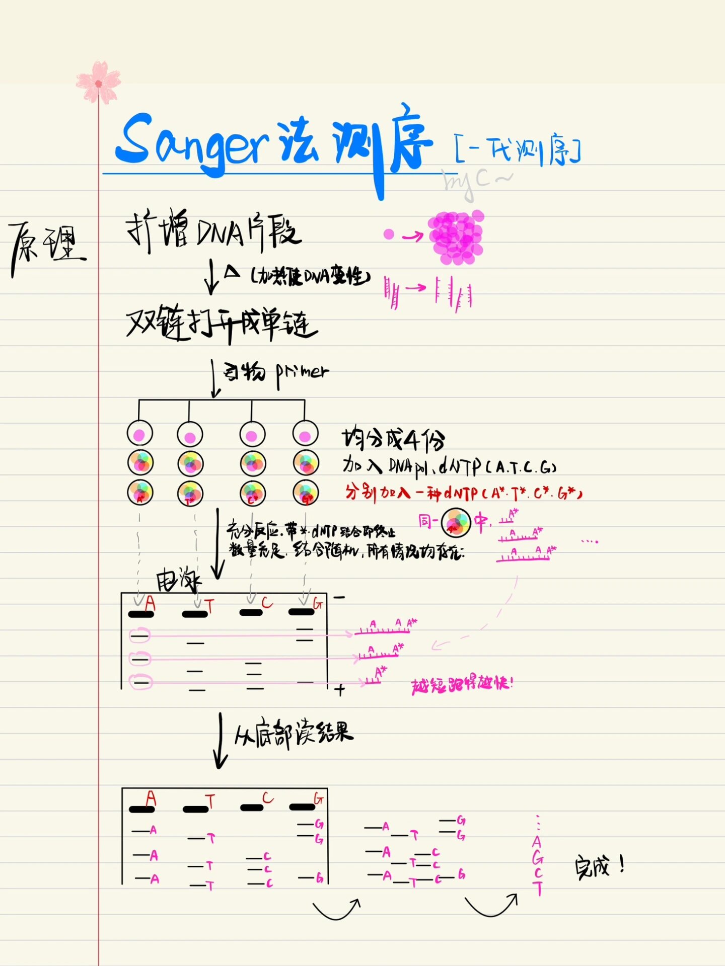 sanger弹道图片