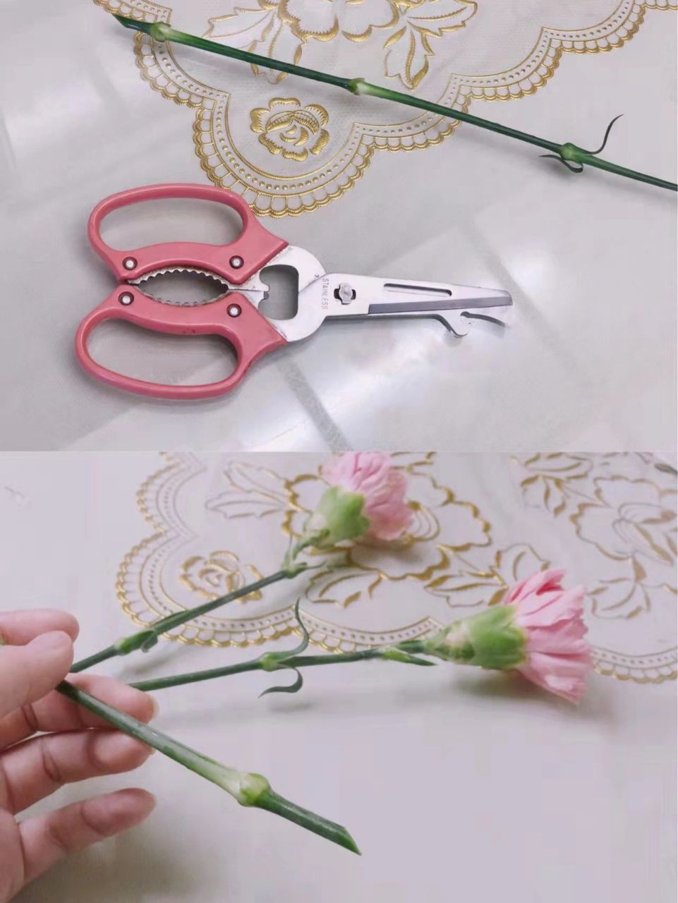 醒花 45°倾斜剪根部,把康乃馨多余的叶子轻轻摘除,每支保留几个小