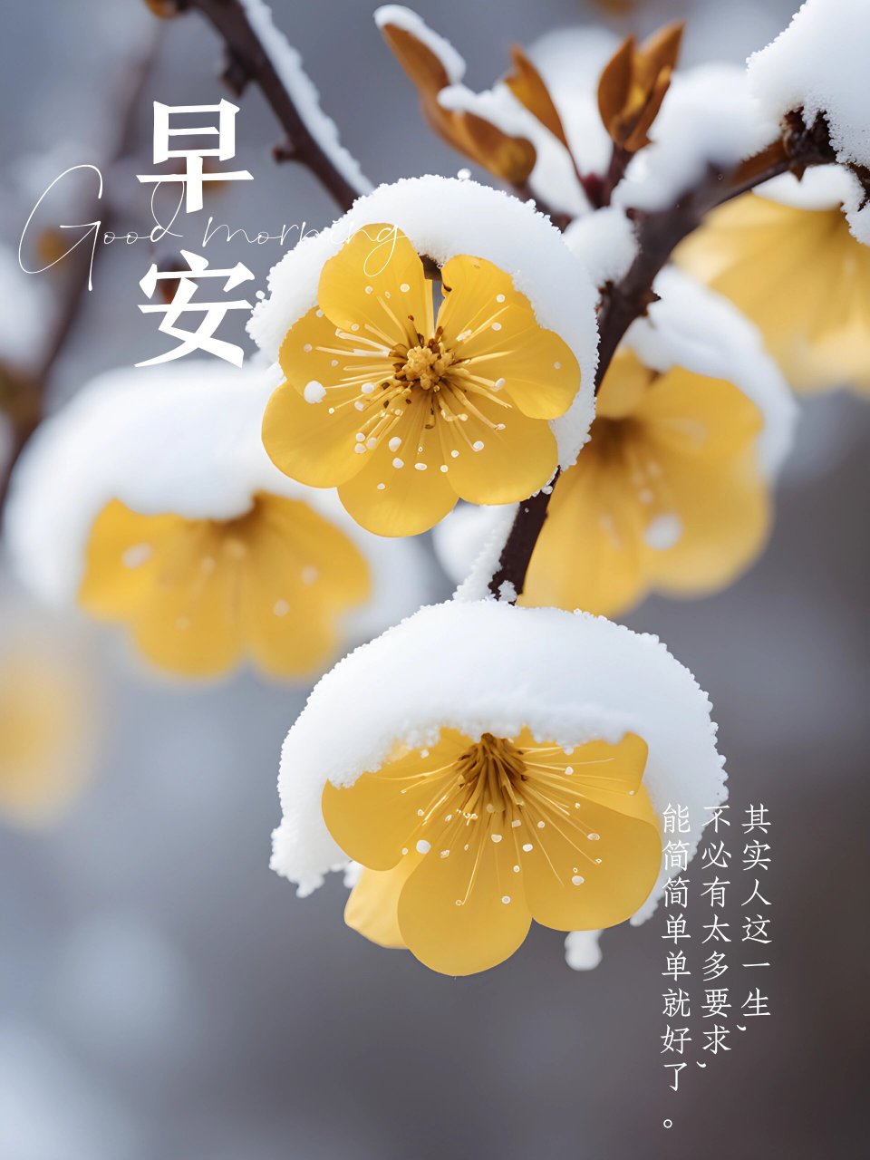 12月27日|早安一句励志语录暖心的文字铺子 12月26日|早安一句励志