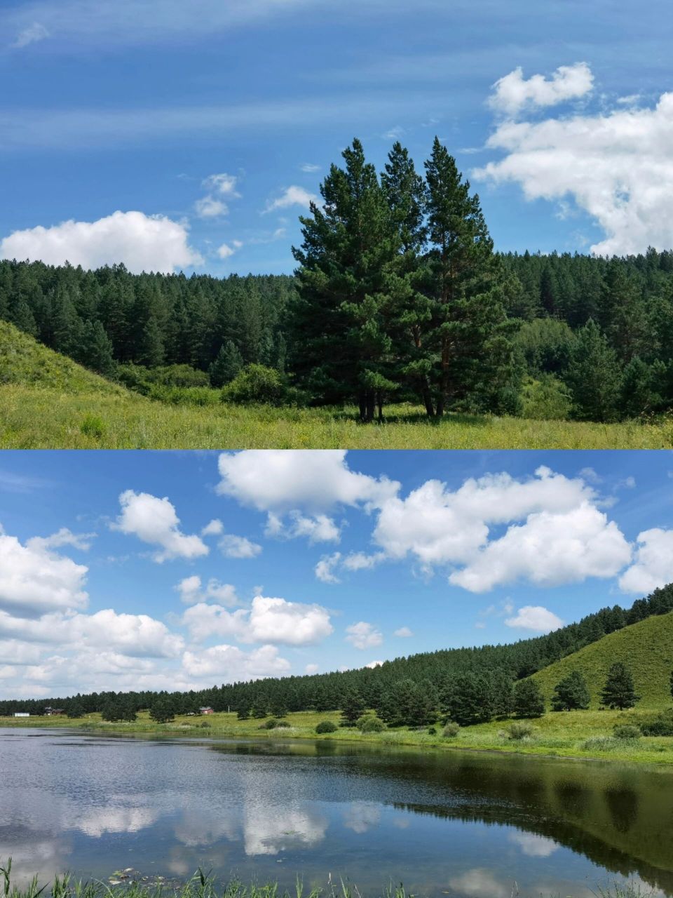 呼伦贝尔旅行旅游攻略-景点90红花尔基公园 红花尔基,蒙语意思为"