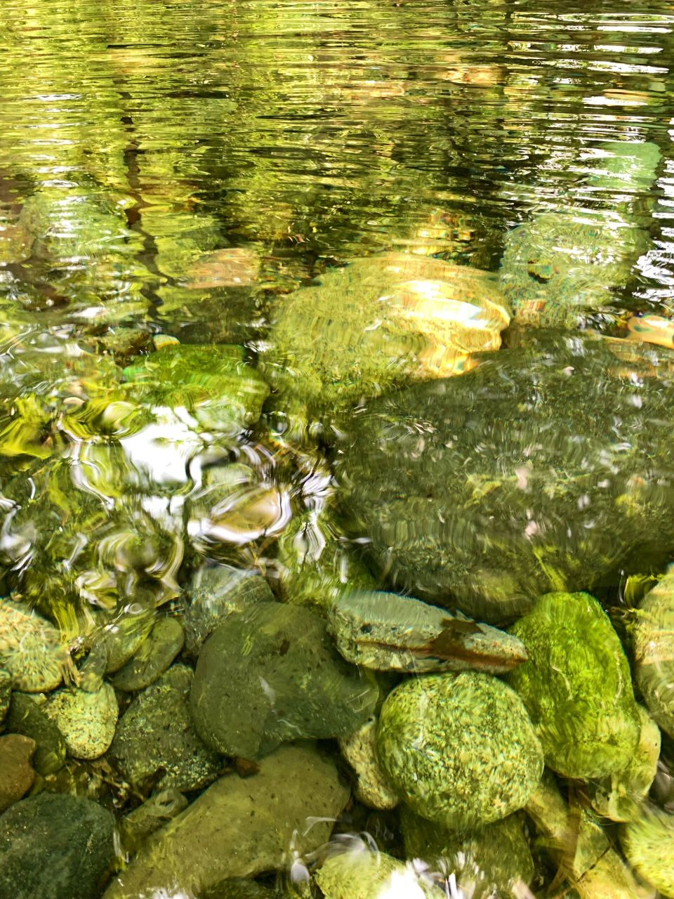 室外温度30度左右,河水水温也就20度左右.
