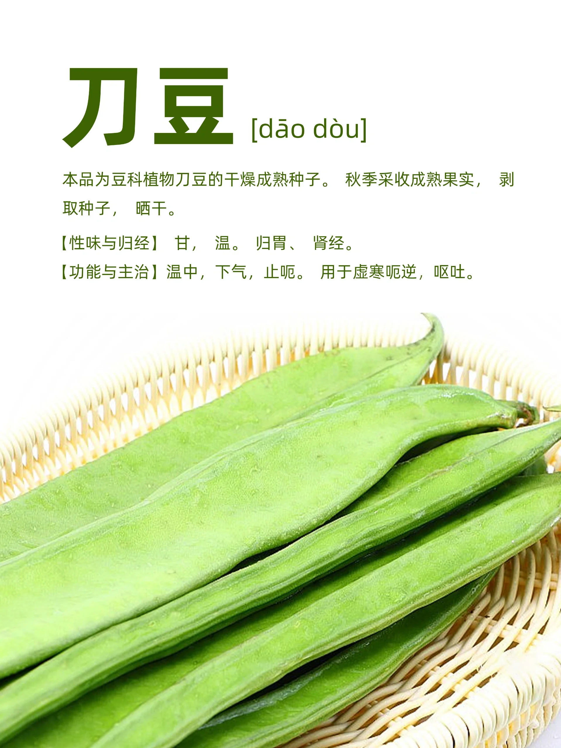 刀豆|你没见过的蔬菜-厨房好菜求教做法 相传易祓在太学读书 10 年