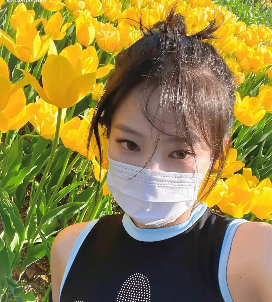 blackpink头像-金珍妮 抖音里求图的姐妹们,可以从这里拿图哟