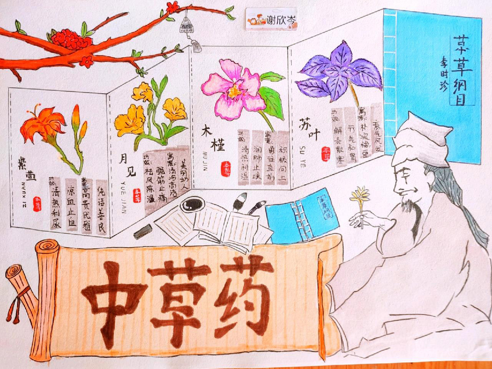 中草药主题手抄报第一弹   不可商用哦 有参考网络上的素材哦～(找不