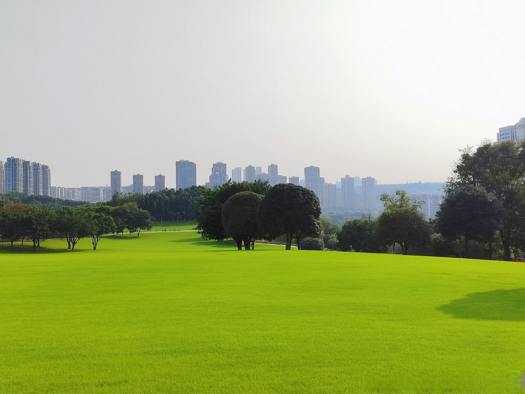 大的中央公园———重庆中央公园,占地2300亩,最出彩的还是阳光大草坪