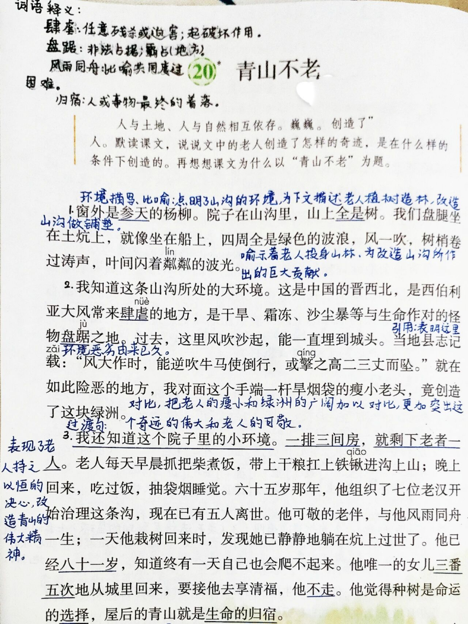 统编版六上语文《青山不老》课文笔记 我最近太忙了,没来得及给大家