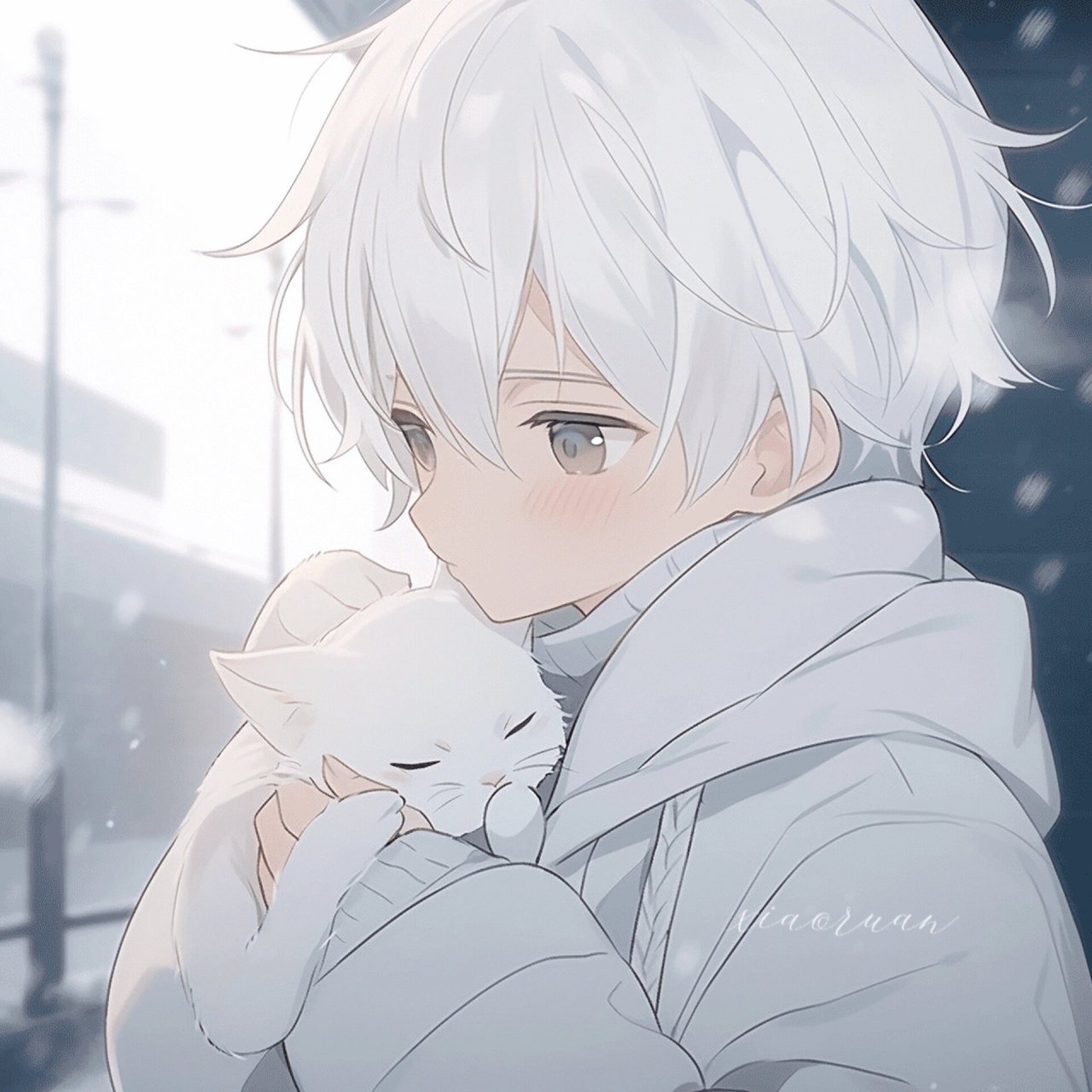 动漫男头|冬日氛围感抱猫头像