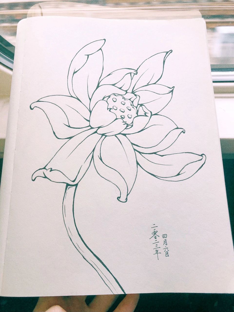 画莲1000天|第164天7715零基础简笔教程钢笔画 78谢谢大家的