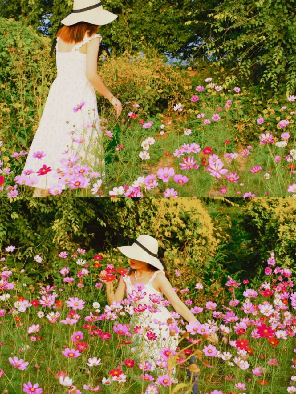 北京七孔桥花海# #七孔桥花海主题公园# #七孔桥花海# #北京拍照