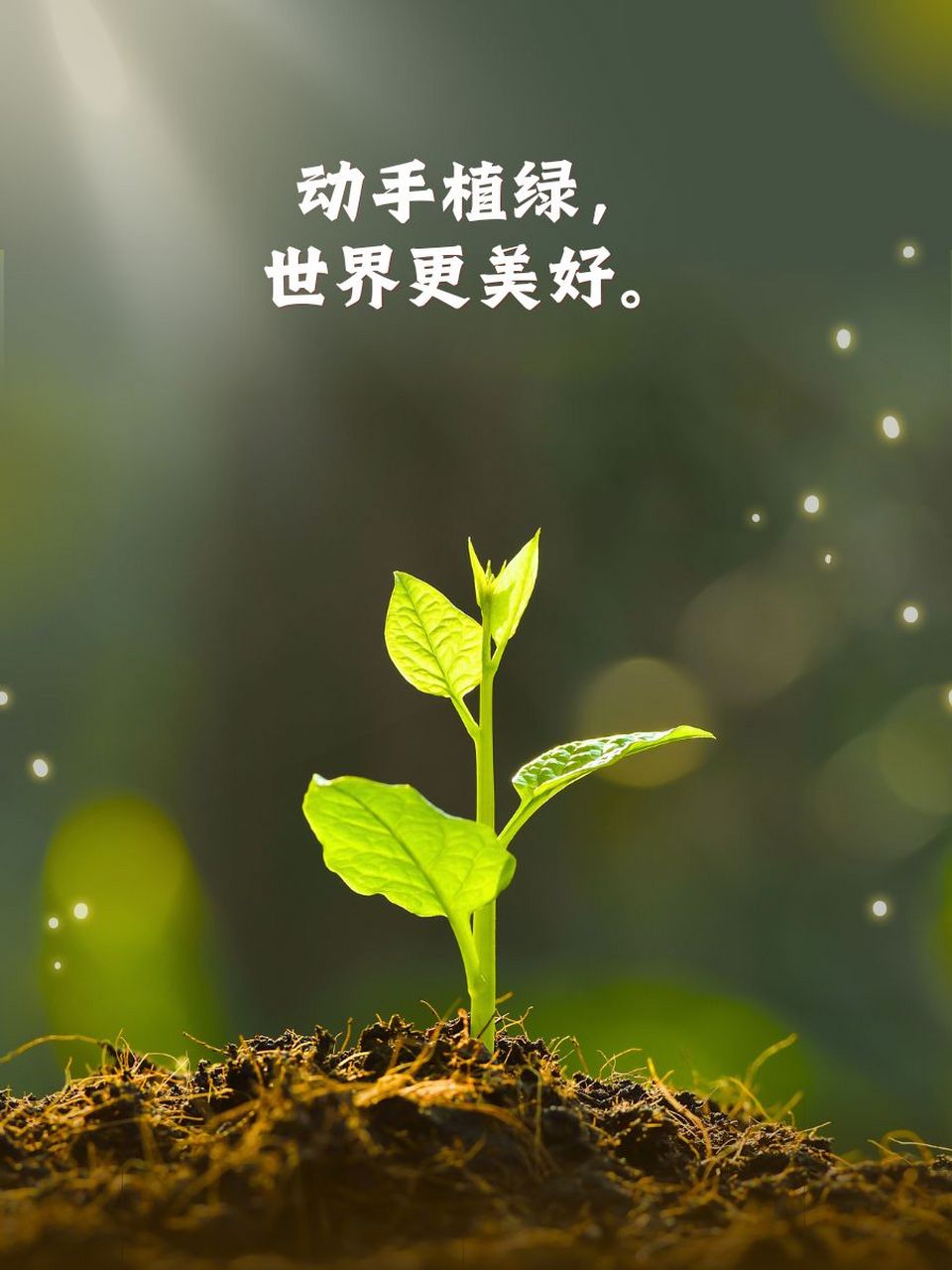 植绿护绿宣传语图片