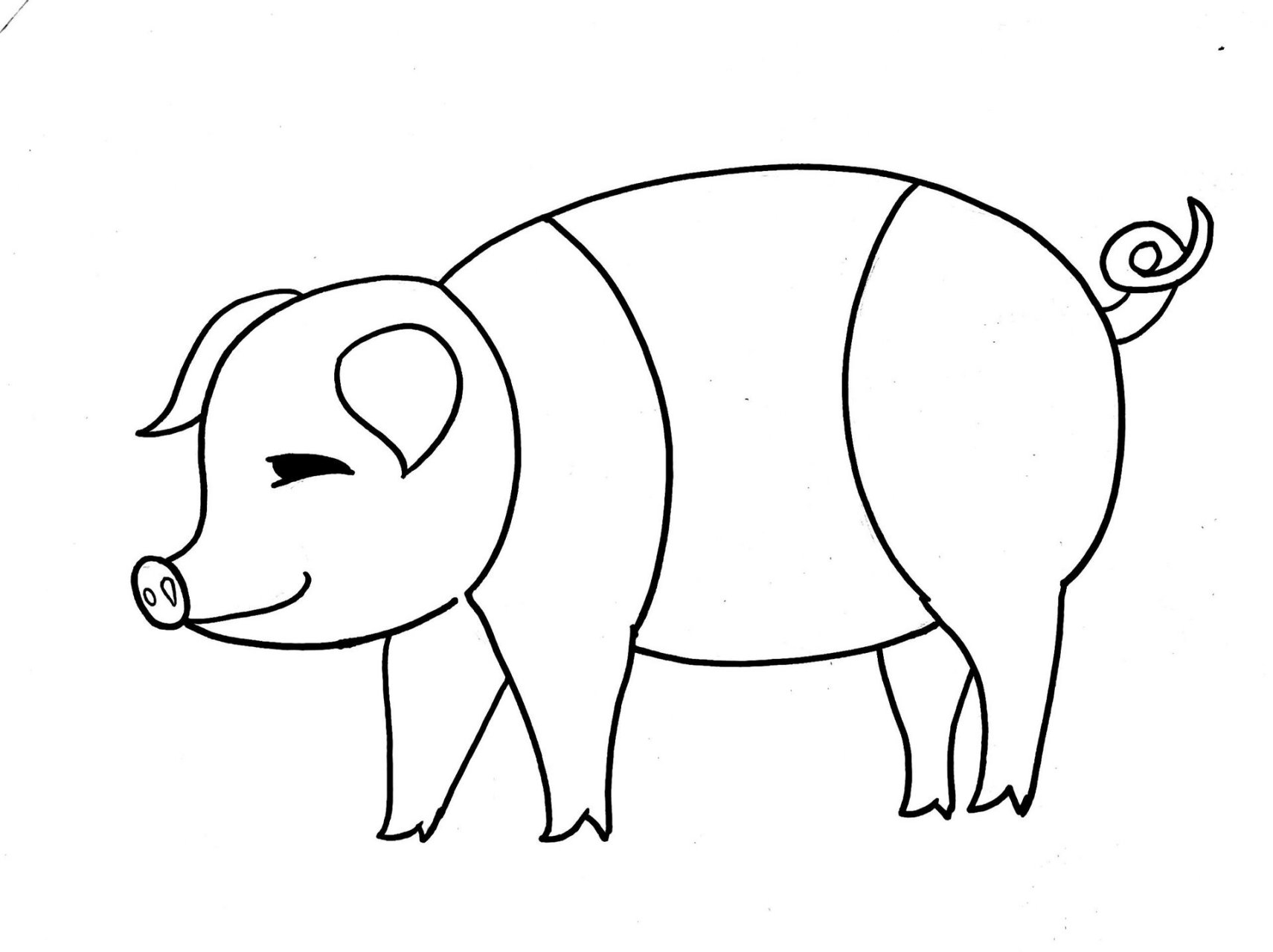 猪99|黑白装饰画|含步骤 后面都是步骤哦,可临摹 针管笔必备