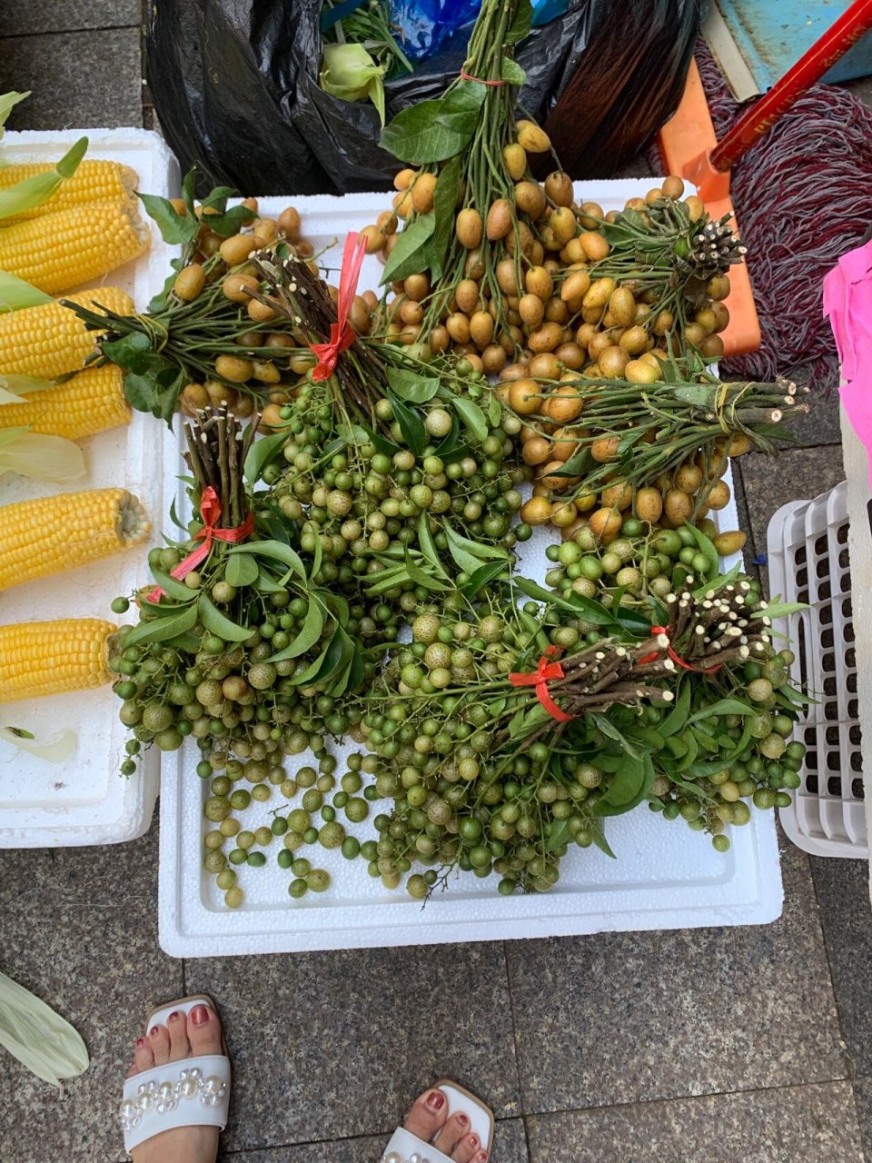 广西的黄皮果 | 山黄皮 季节性的水果,你值得拥有