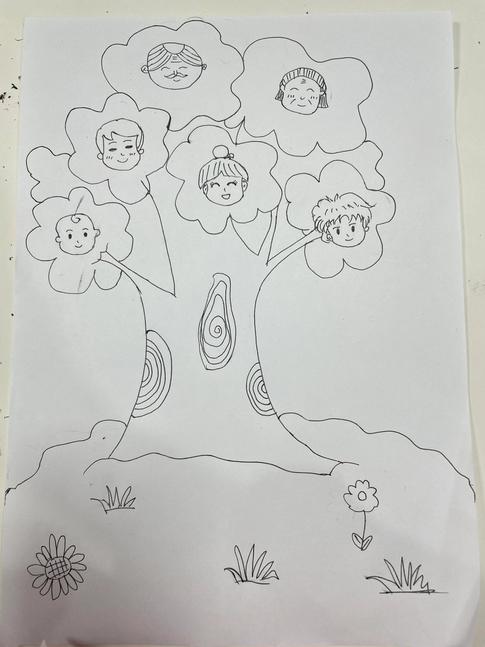 家谱树98 周五还有半个小时不到 同事说让帮她孩子画个   家庭树