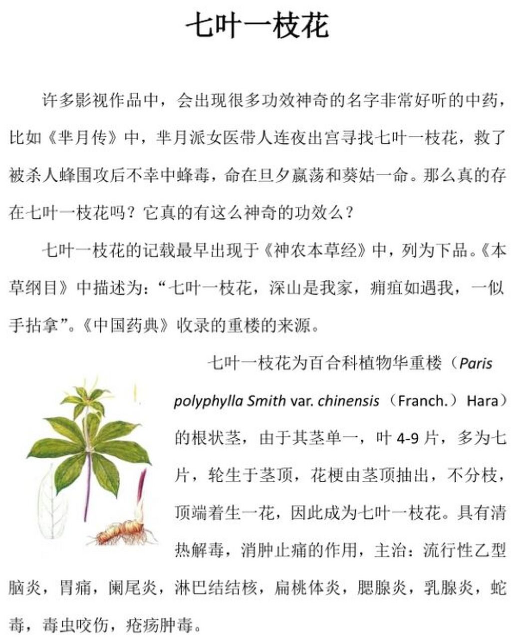 七叶一枝花(重楼) 中药小科普,有错处请多多指出,也借鉴了很多资料