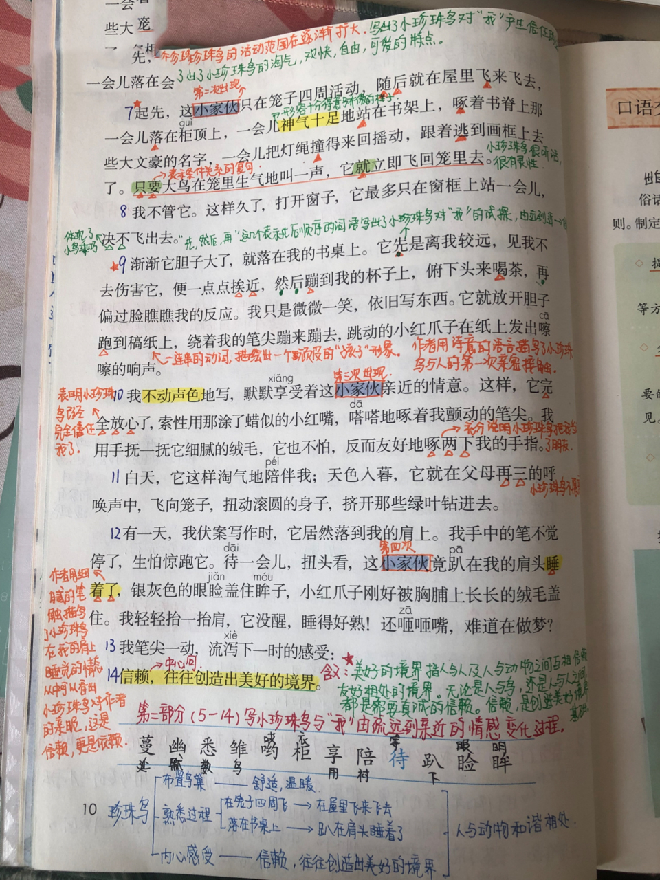 五年级上册语文第四课《珍珠鸟》笔记