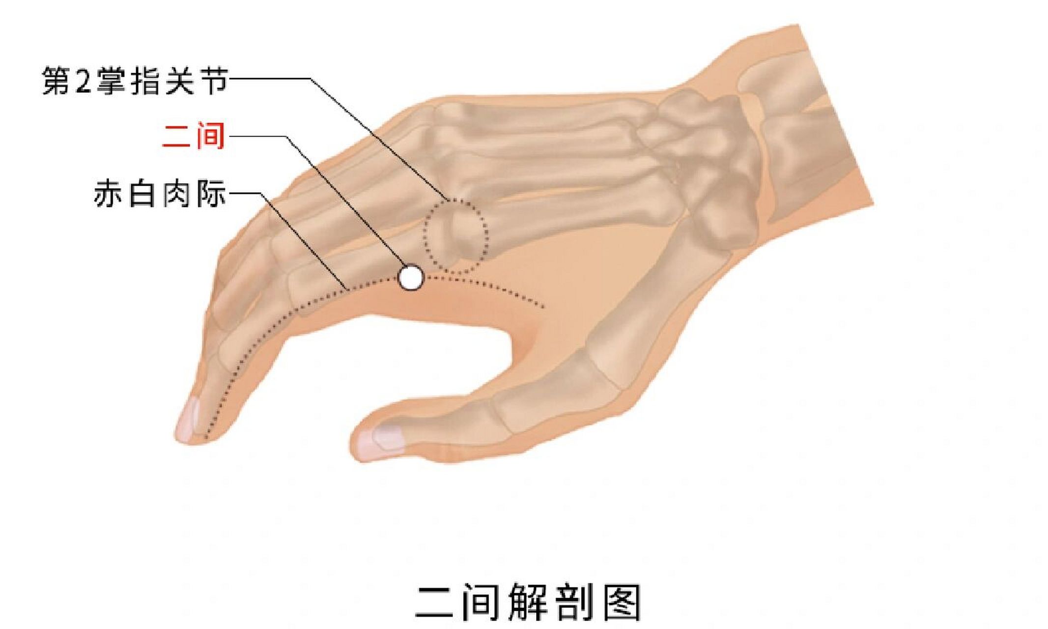 二间准确位置图图片