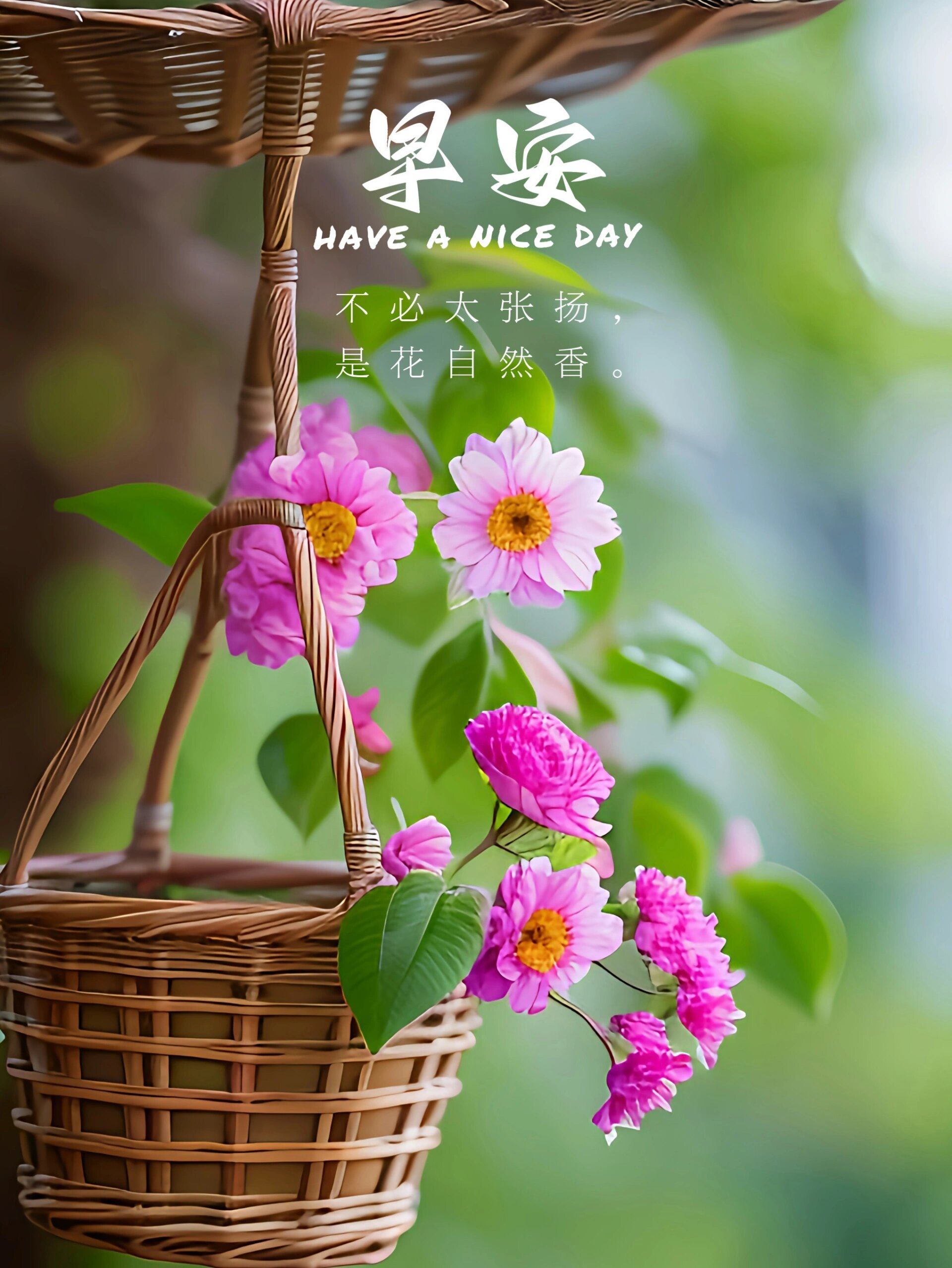 周二早上好/励志金典文案分享 00194 所谓的成熟,就是接受现实.