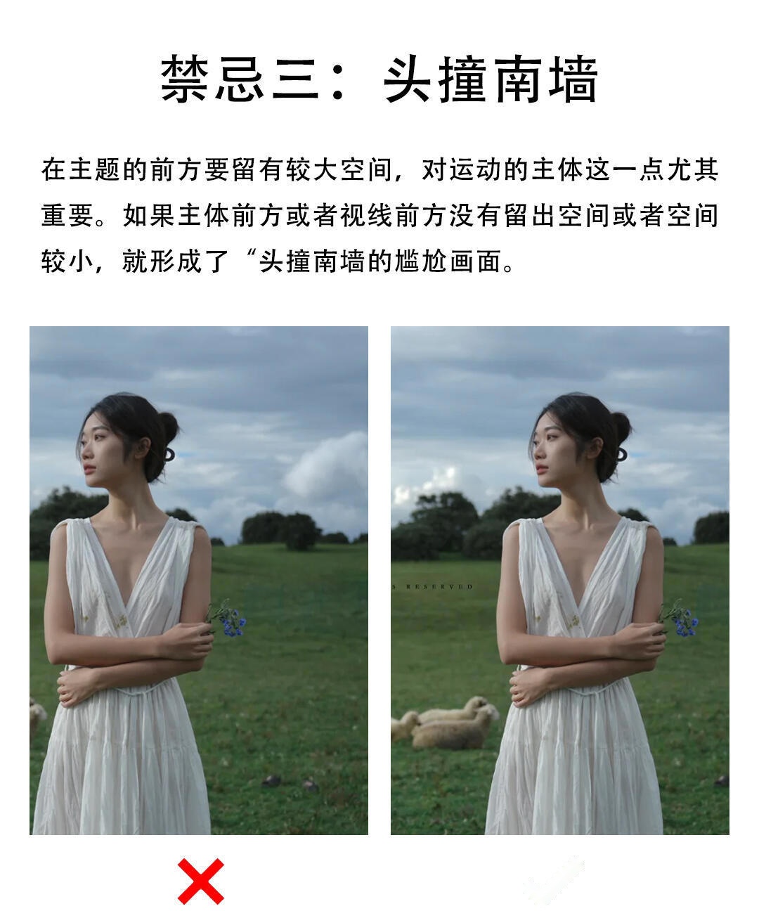 立介摄影构图教程视频，一分钟就会