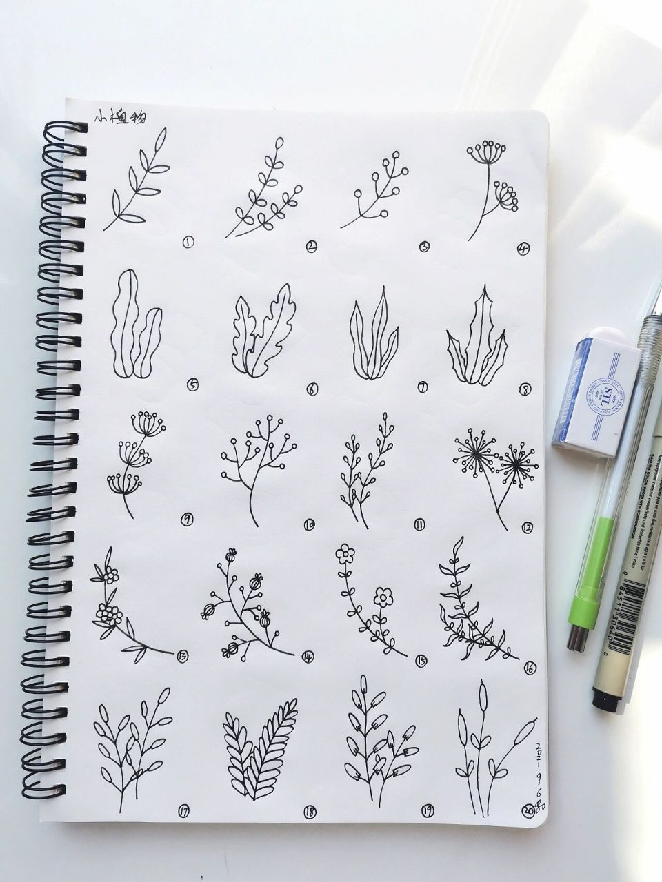 20种小植物装饰简笔画画法