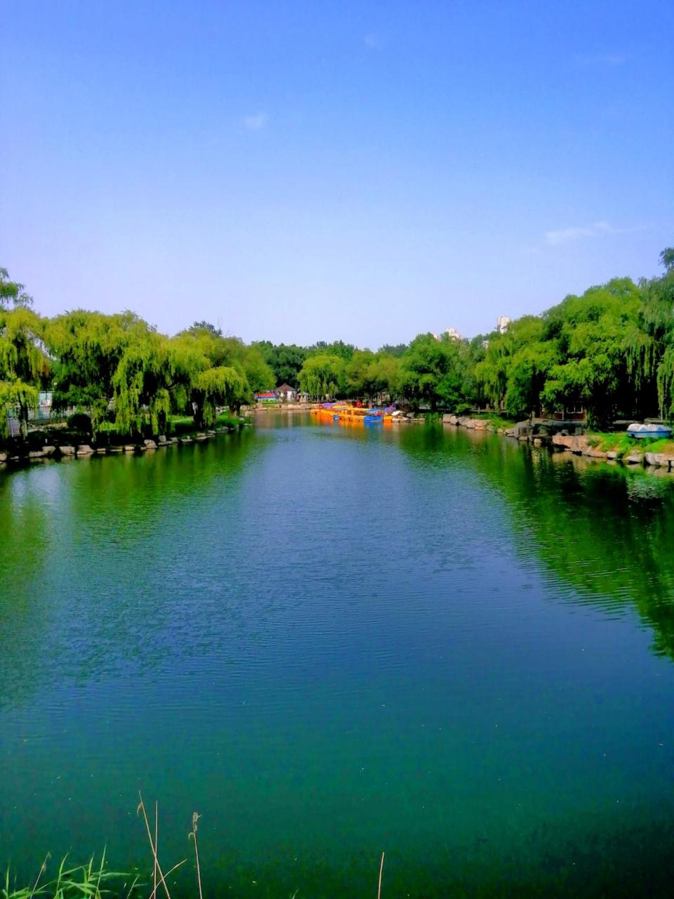 随手一拍都是美景 风景 旅行推荐官 滨州 户外